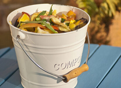 Source Extra Kitchen Scraps for Backyard Flocks Image